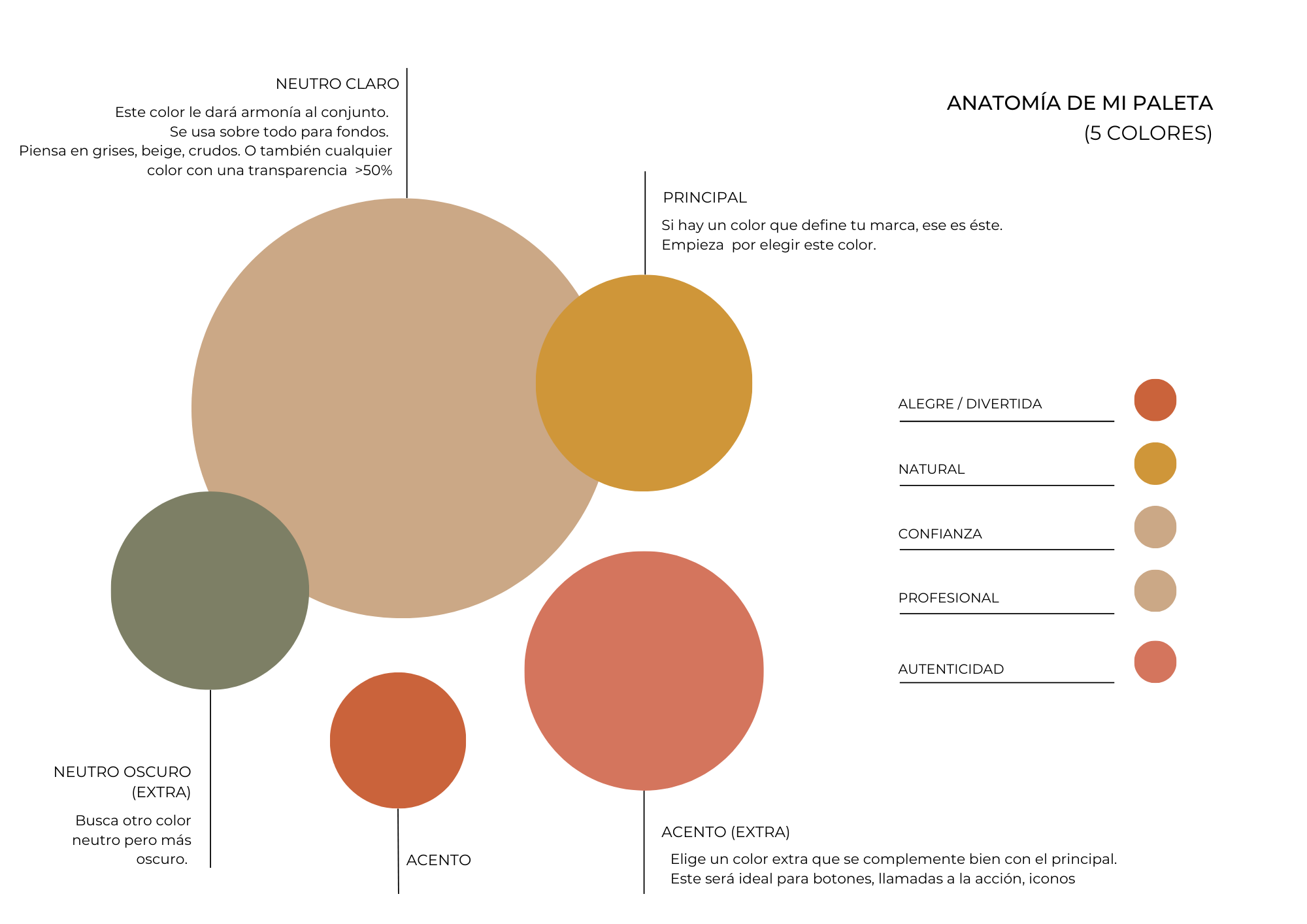 Moodboard y guía de marca